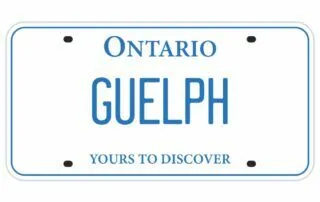 Mediation Guelph