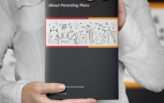 What is a DTSW - Family Harbour Parenting Plan
