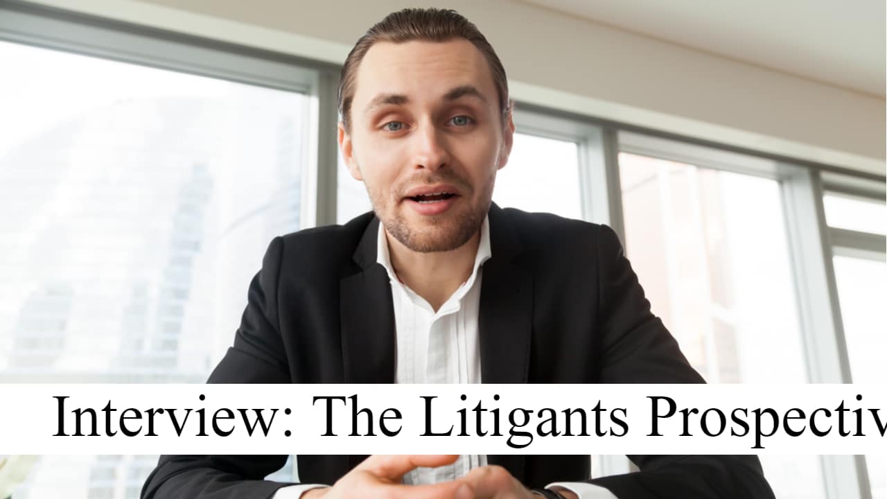 Interview: The Litigants Prospective